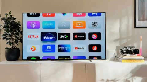 oled displei preimuschestva i nedostatki polnyy razbor