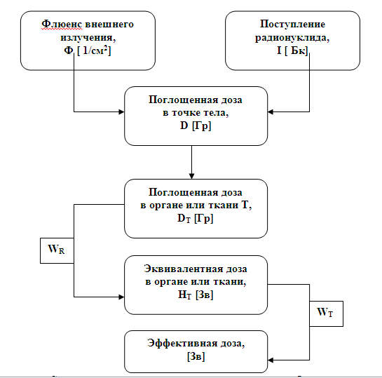 organizatsiya bezopasnoy raboty s radioaktivnymi izotopami v radiotehnike